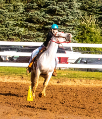 9-25-Horse-Meet-at-Milford-499