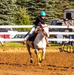 9-25-Horse-Meet-at-Milford-500