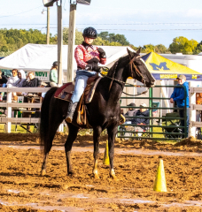 9-25-Horse-Meet-at-Milford-519