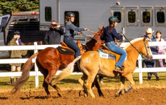 9-25-Horse-Meet-at-Milford-526