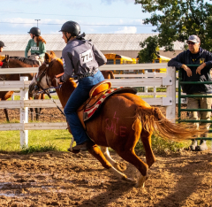 9-25-Horse-Meet-at-Milford-533