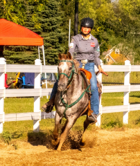 9-25-Horse-Meet-at-Milford-539