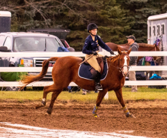 9-25-Horse-Meet-at-Milford-54