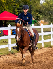 9-25-Horse-Meet-at-Milford-560