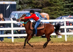 9-25-Horse-Meet-at-Milford-569