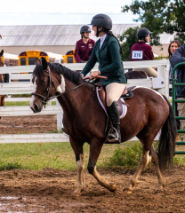 9-25-Horse-Meet-at-Milford-577