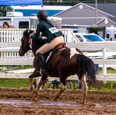 9-25-Horse-Meet-at-Milford-578