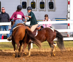 9-25-Horse-Meet-at-Milford-581-2