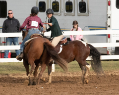 9-25-Horse-Meet-at-Milford-581