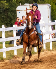 9-25-Horse-Meet-at-Milford-583