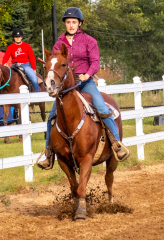 9-25-Horse-Meet-at-Milford-584