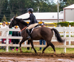 9-25-Horse-Meet-at-Milford-587