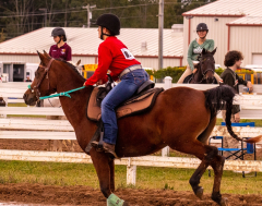 9-25-Horse-Meet-at-Milford-59