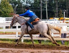 9-25-Horse-Meet-at-Milford-598