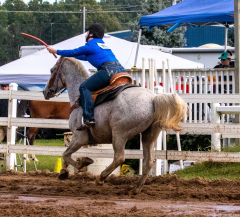 9-25-Horse-Meet-at-Milford-599
