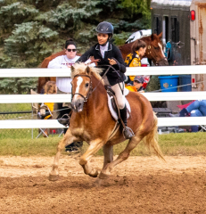 9-25-Horse-Meet-at-Milford-603