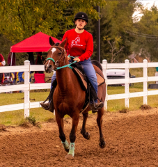 9-25-Horse-Meet-at-Milford-65