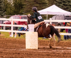 9-25-Horse-Meet-at-Milford-66