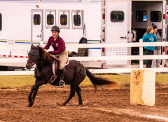 9-25-Horse-Meet-at-Milford-76