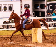 9-25-Horse-Meet-at-Milford-79
