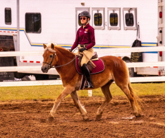 9-25-Horse-Meet-at-Milford-82