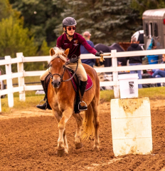 9-25-Horse-Meet-at-Milford-83