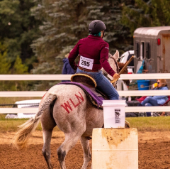 9-25-Horse-Meet-at-Milford-84