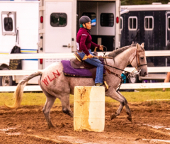 9-25-Horse-Meet-at-Milford-85