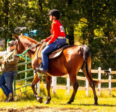 9-25-Horse-Meet-at-Milford-9